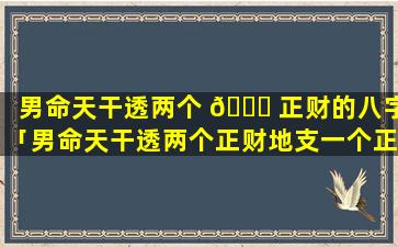 男命天干透两个 🕊 正财的八字「男命天干透两个正财地支一个正财」